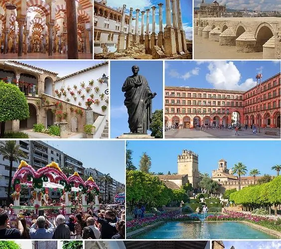 בית נופש Aljaral, Espectacular,piscina,chimenea, Climatizacion, Wifi קורדובה