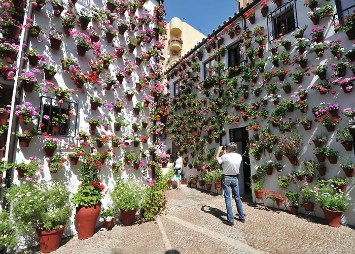 Aljaral, Espectacular,piscina,chimenea, Climatizacion, Wifi בית נופש קורדובה