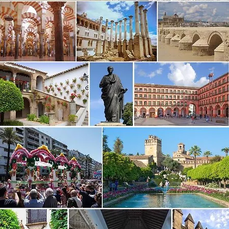 Ferienhaus Aljaral, Espectacular,piscina,chimenea, Climatizacion, Wifi Córdoba