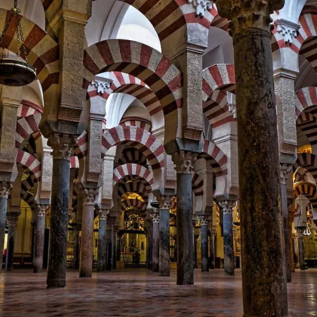 Aljaral, Espectacular,piscina,chimenea, Climatizacion, Wifi Córdoba