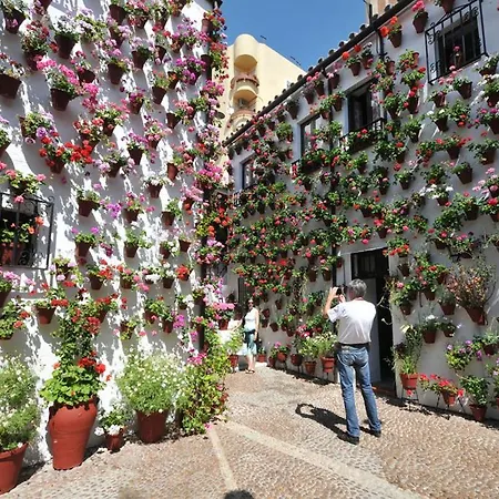 Aljaral, Espectacular,piscina,chimenea, Climatización, Wifi Сasa de vacaciones Córdoba